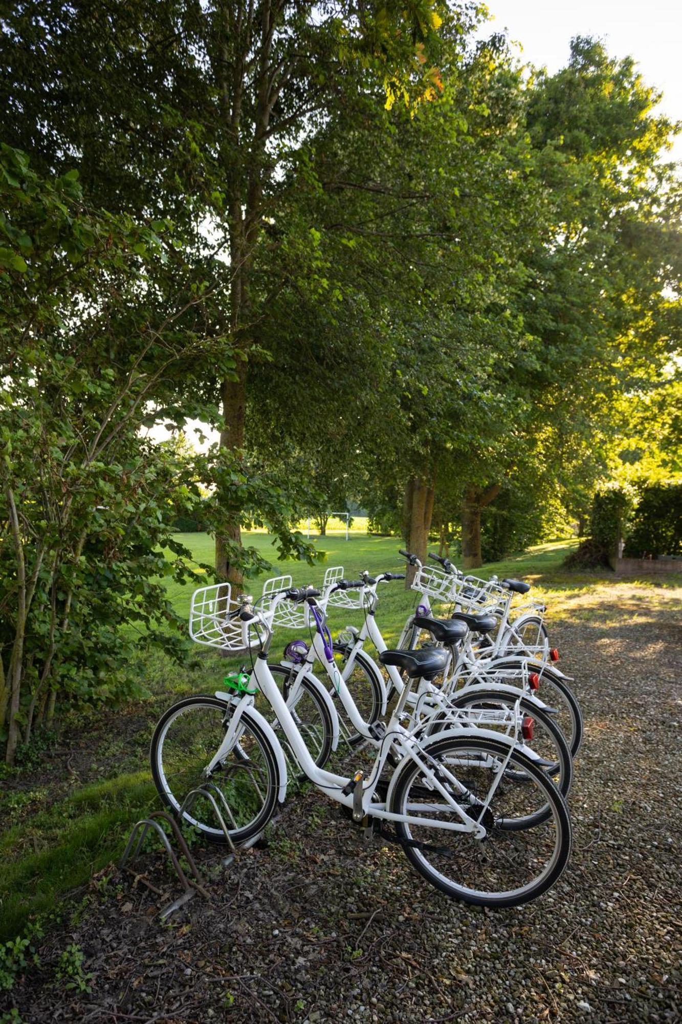 Agriturismo Zennare 基奥贾 外观 照片